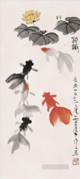 Wu Zuoren Painting - Wu zuoren big goldfish old China ink